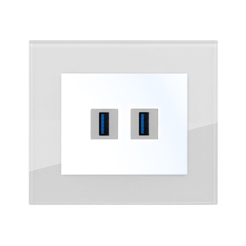 2x USB socket with charger (glass) - Colour: dove grey, Cover colour: snow white glossy