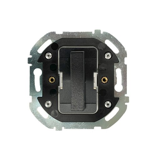 Double switch (two pole) - Handle: black